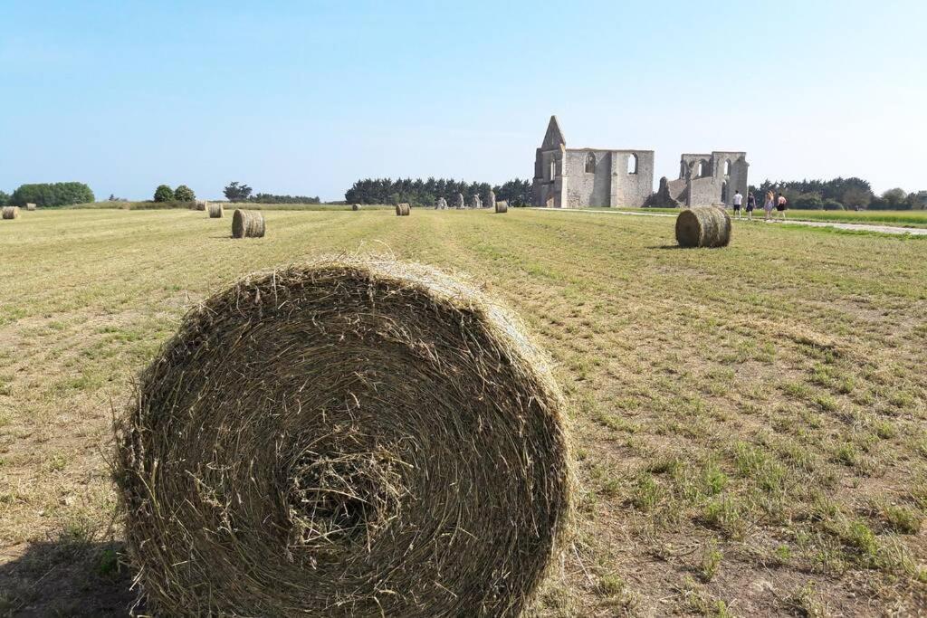 La Virginie - Suite Ile'O La Couarde-sur-Mer Esterno foto