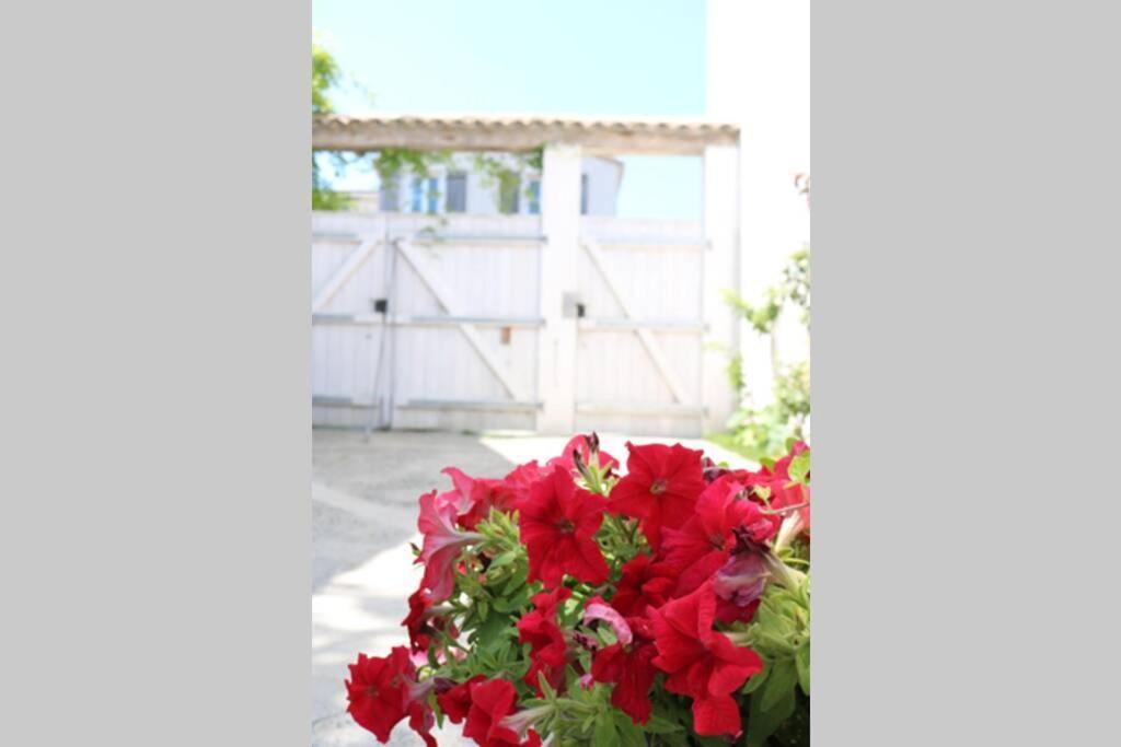 La Virginie - Suite Ile'O La Couarde-sur-Mer Esterno foto